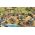 Age of Empires II: Definitive Edition