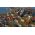 ENDLESS Legend 2